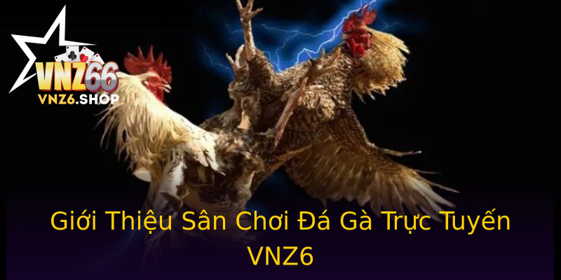 Giới Thiệu Sân Chơi Đá Gà Trực Tuyến VNZ6