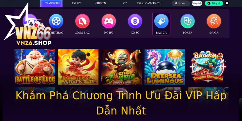 Khám Phá Chương Trình Ưu Đãi VIP Hấp Dẫn Nhất