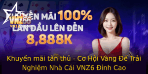 Khuyen Mai Tan Thu Co Hoi Vang E Trai Nghiem Nha Cai Vnz6 Inh Cao