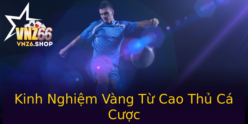 Kinh Nghiệm Vàng Từ Cao Thủ Cá Cược