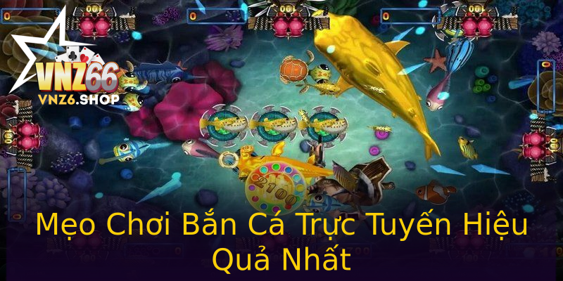 Mẹo Chơi Bắn Cá Trực Tuyến Hiệu Quả Nhất Mẹo Chơi Bắn Cá Trực Tuyến Hiệu Quả Nhất