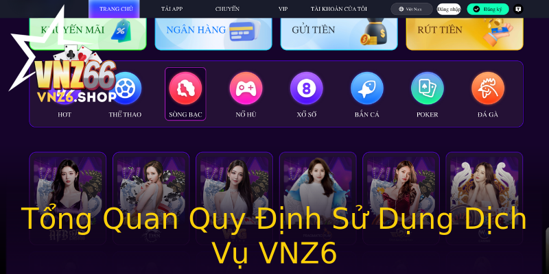 Tổng Quan Quy Định Sử Dụng Dịch Vụ VNZ6
