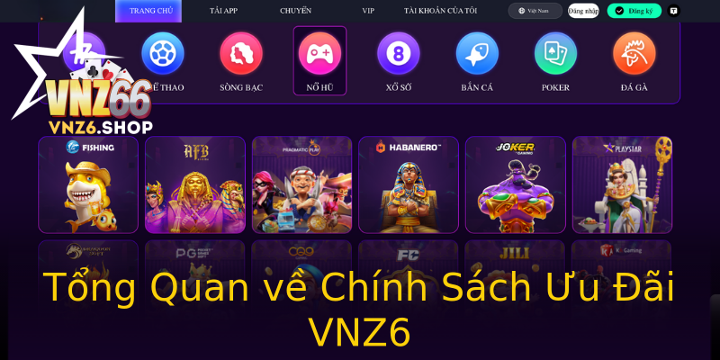 Tổng Quan về Chính Sách Ưu Đãi VNZ6