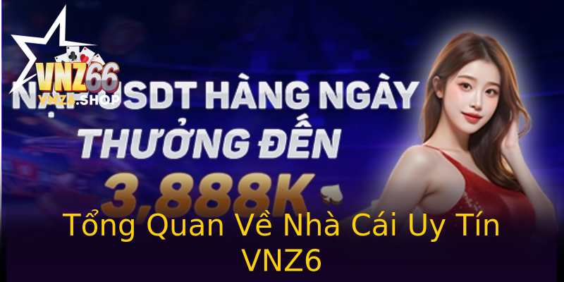 Tổng Quan Về Nhà Cái Uy Tín VNZ6