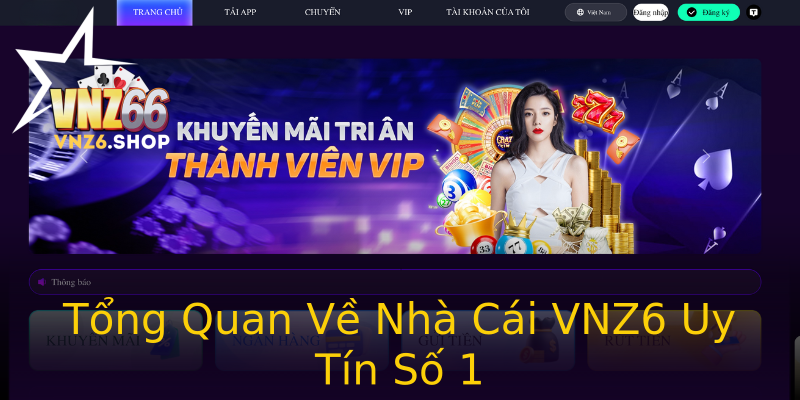 Tổng Quan Về Nhà Cái VNZ6 Uy Tín Số 1