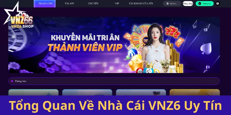 VNZ6 Shop ❤️ Link Nhà Cái VNZ6 Chính Thức, Hỗ Trợ 24/7 12 Tong Quan Ve Nha Cai Vnz6 Uy Tin 2